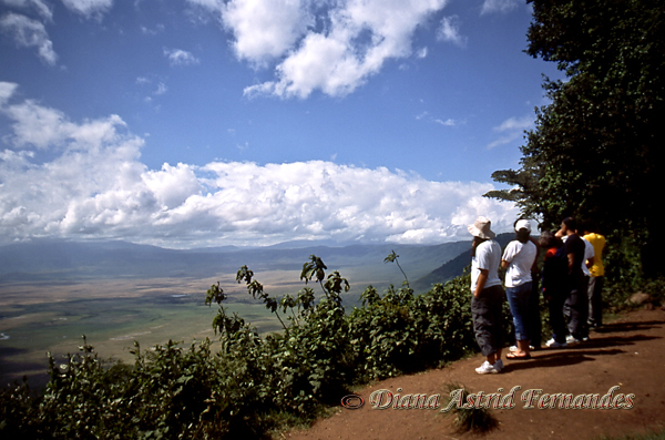 Tanzania-overview-of-Ngorongoro-Crater
